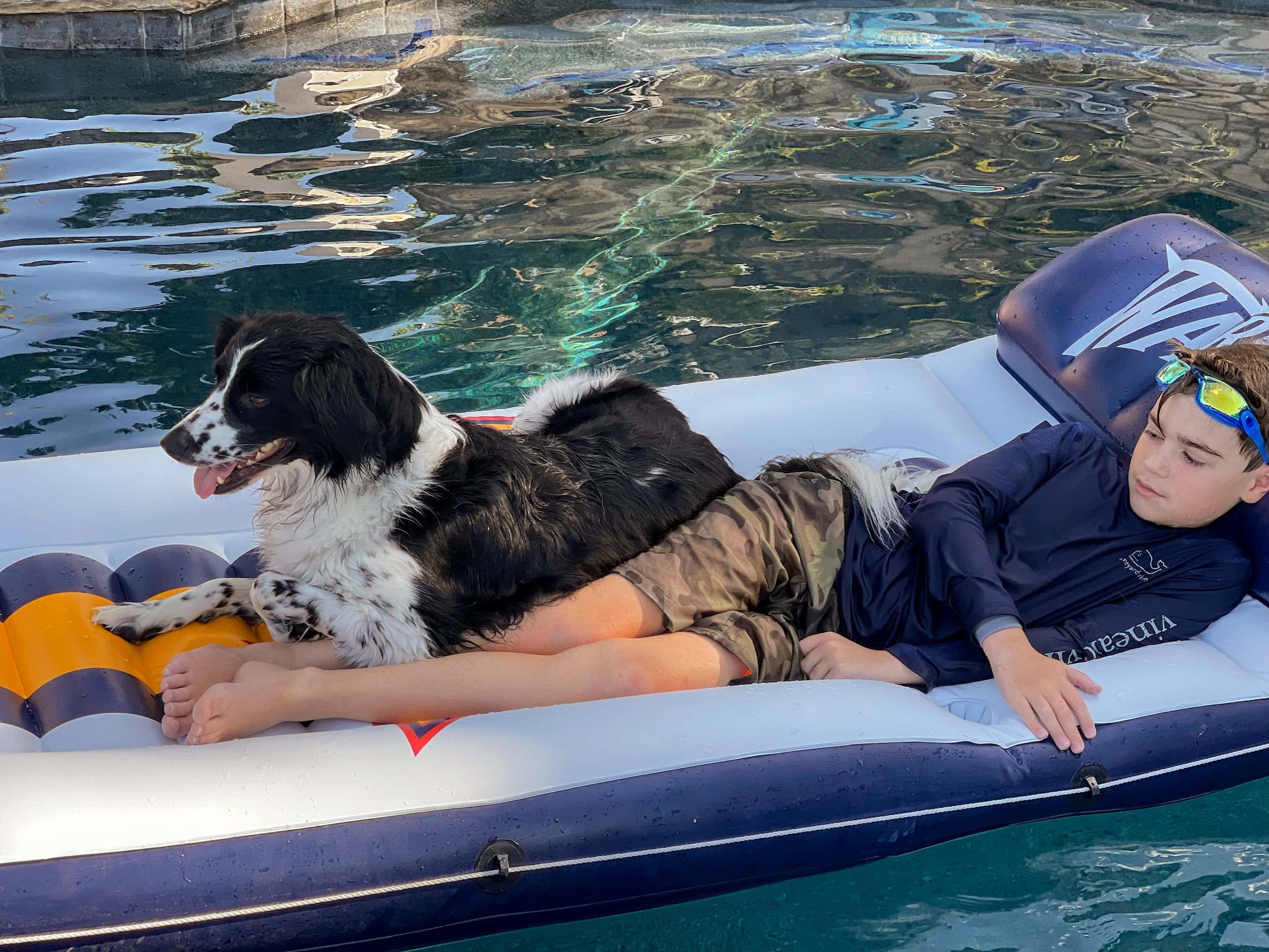 boy with dog on pool float
