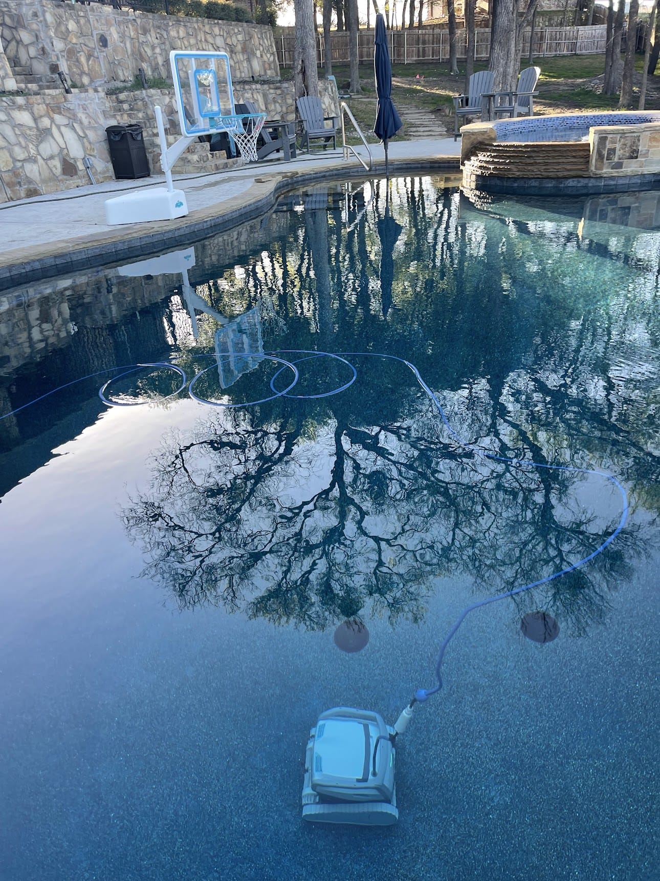 Dolphin robot in pool