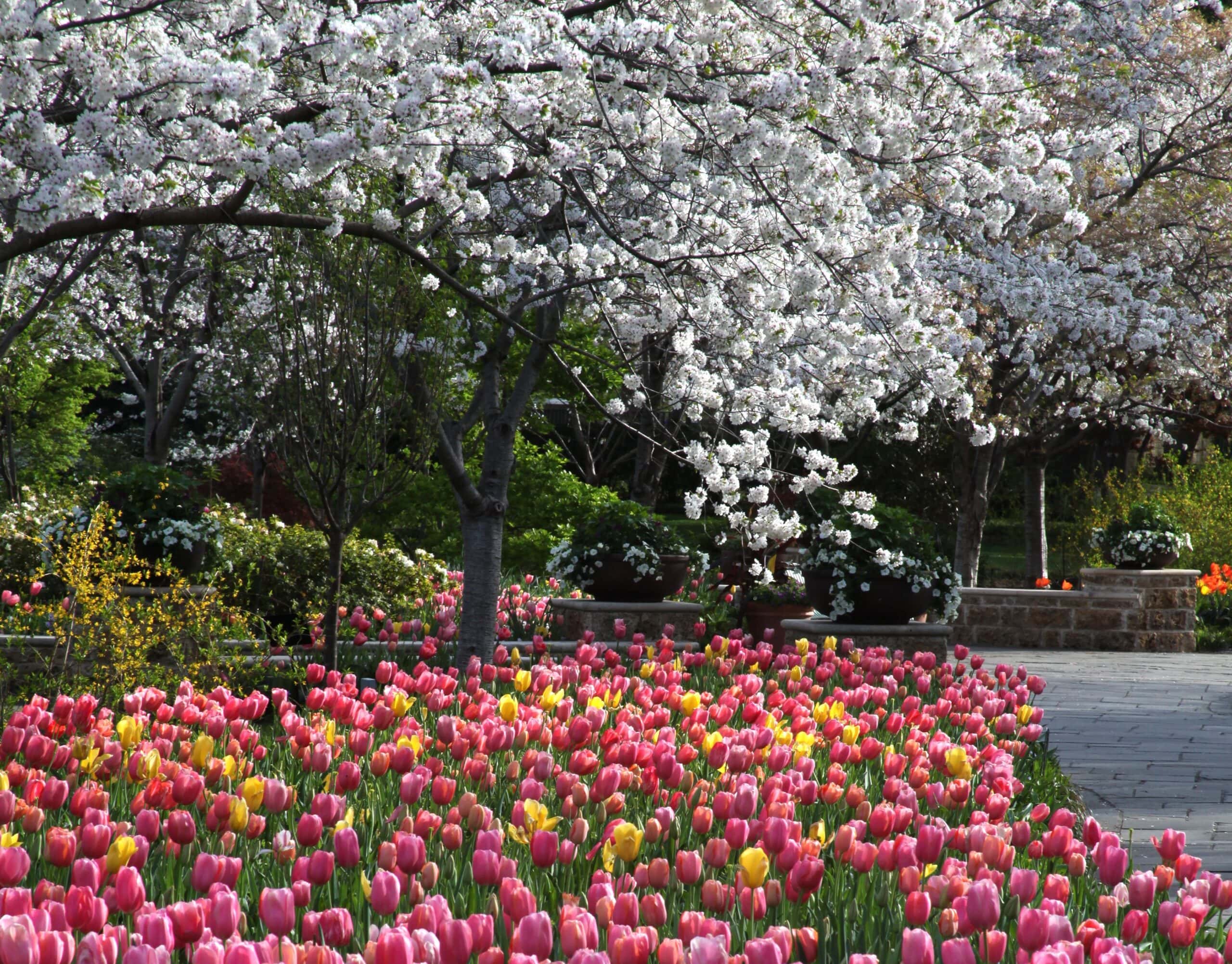 Arboretum celebrates Easter