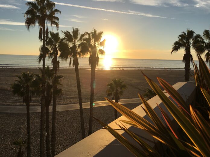 sunset over ocean with palm trees