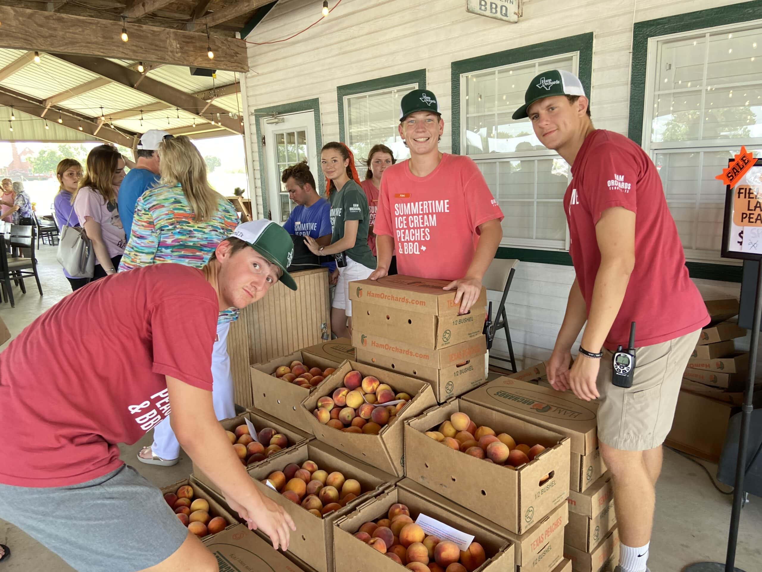 Ham Orchard employees