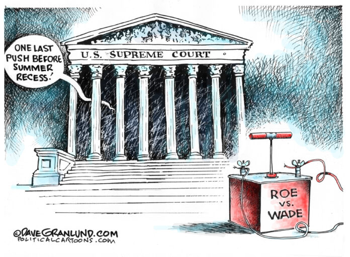 Roe v Wade political cartoon