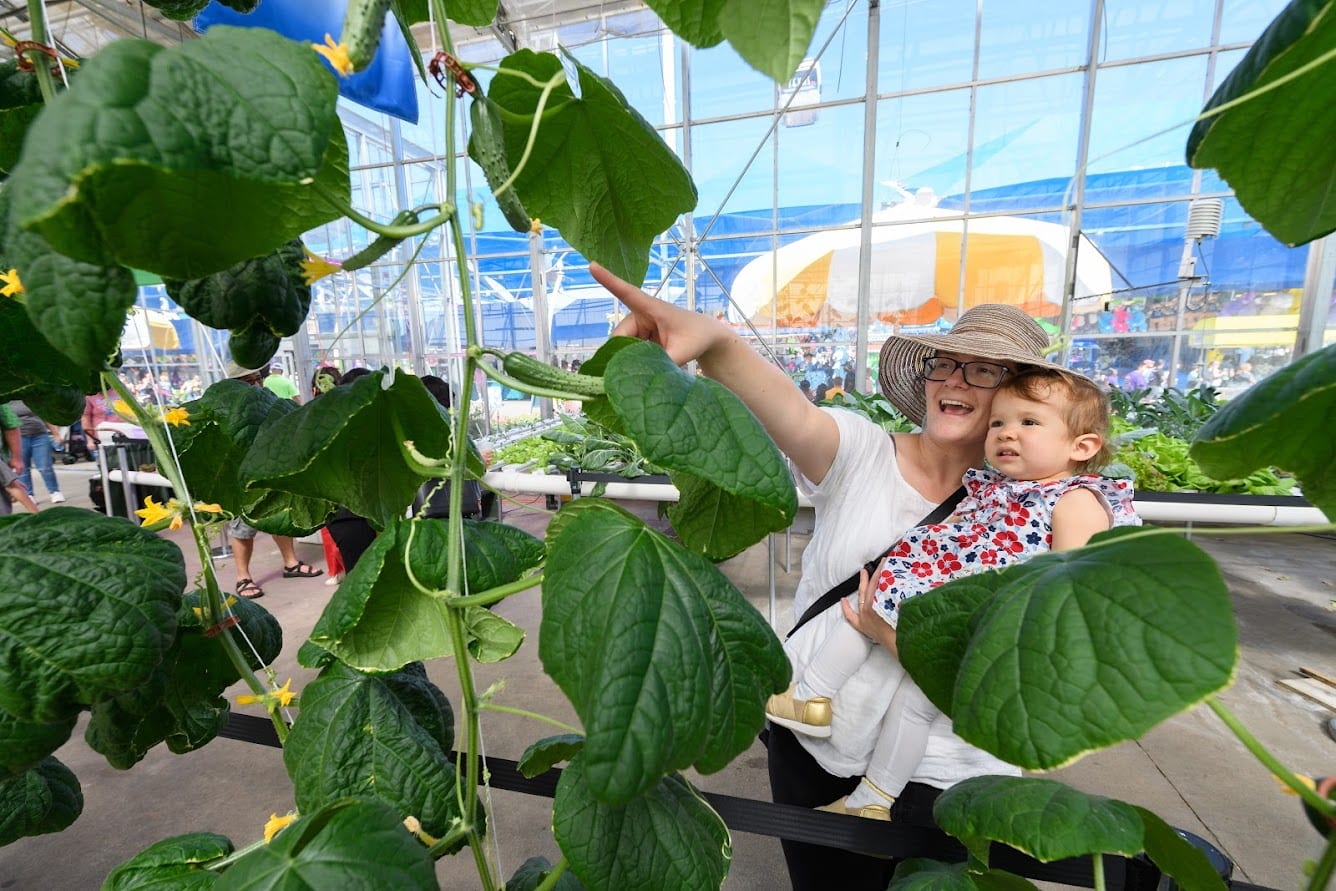 Big Tex Urban Farms