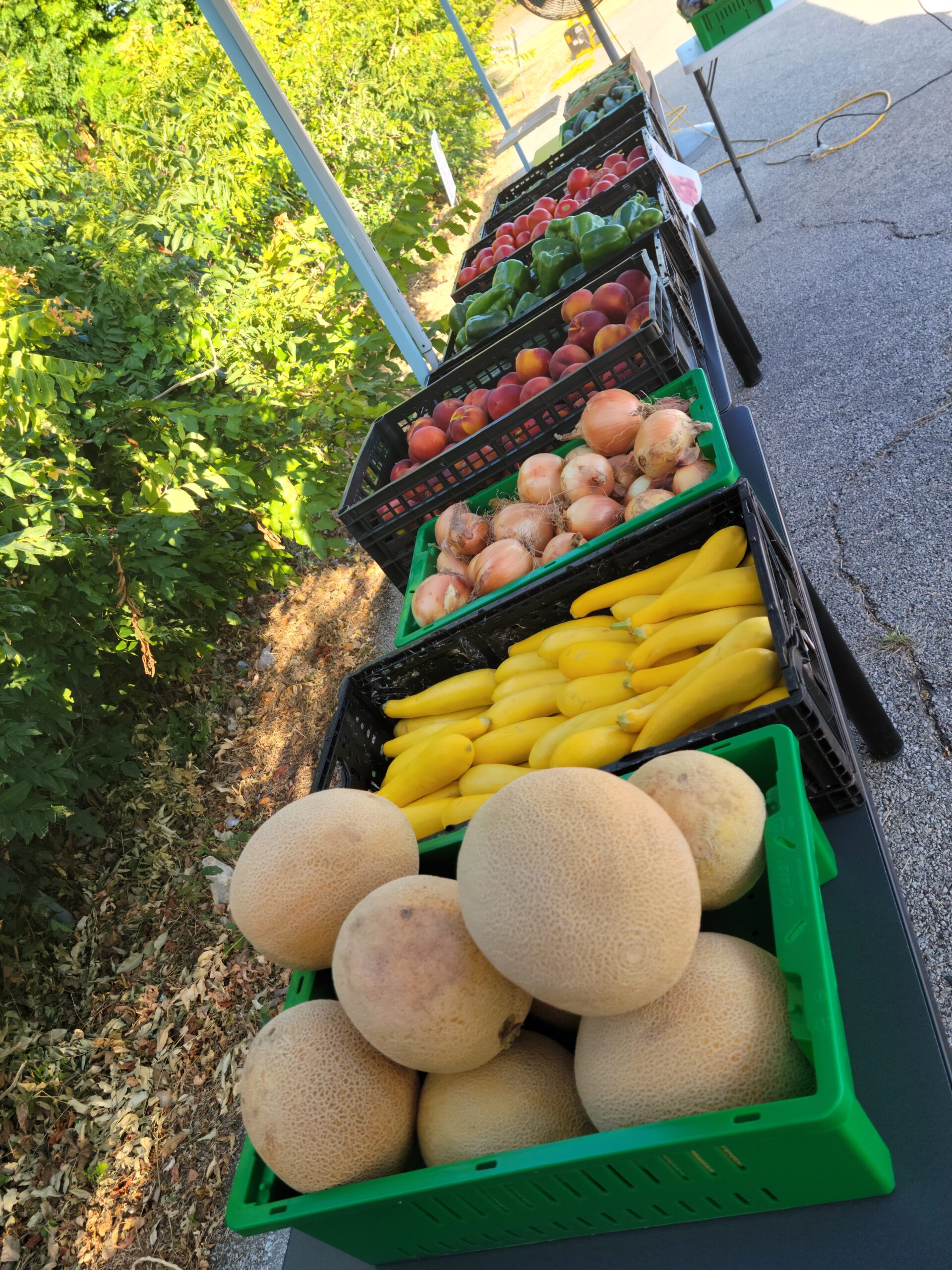 Cedar Hill produce