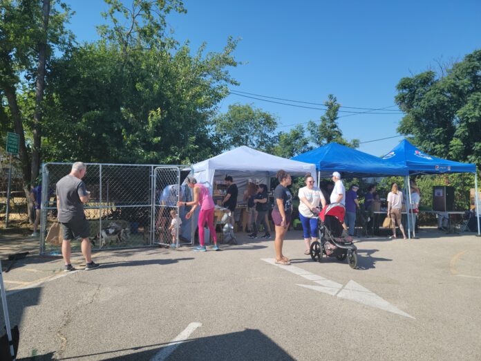 Cedar Hill shoppers at market