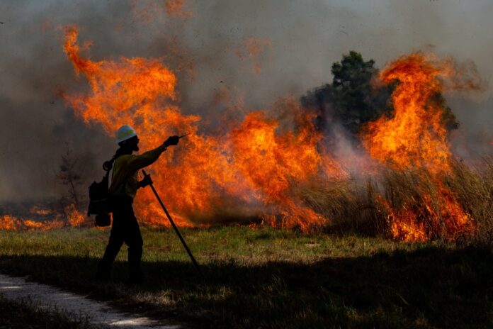 raging grass fire