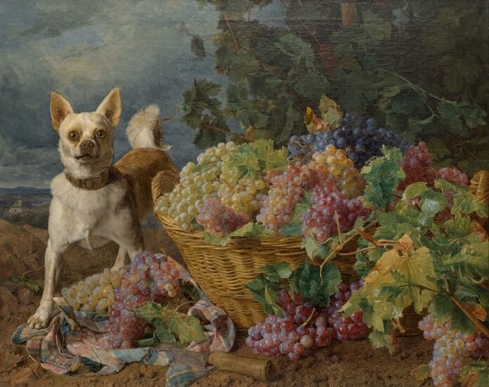 The Kimbell welcomes dogs