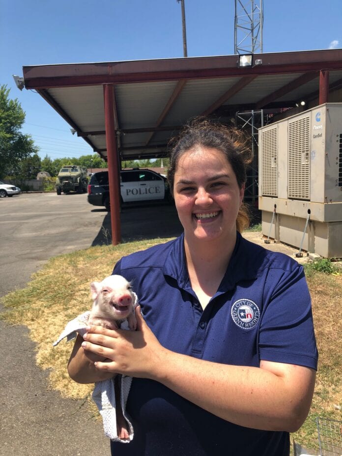 Animal Control employee with animal