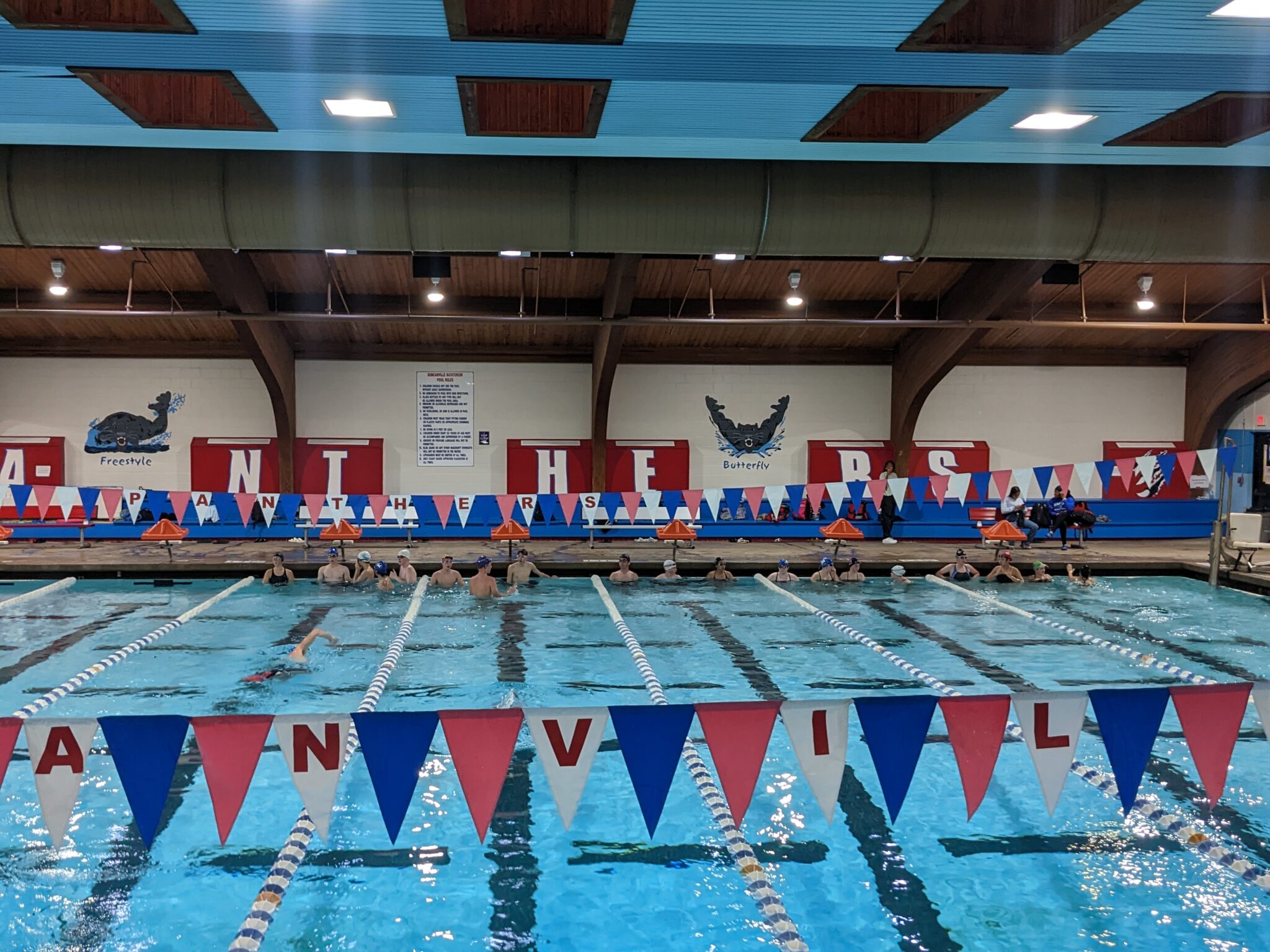 Midlothian ISD Swimmers Are Back In The Pool Focus Daily News
