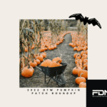 2022 DFW Area Pumpkin Patches, Fall Festivals Pumpkin Patch