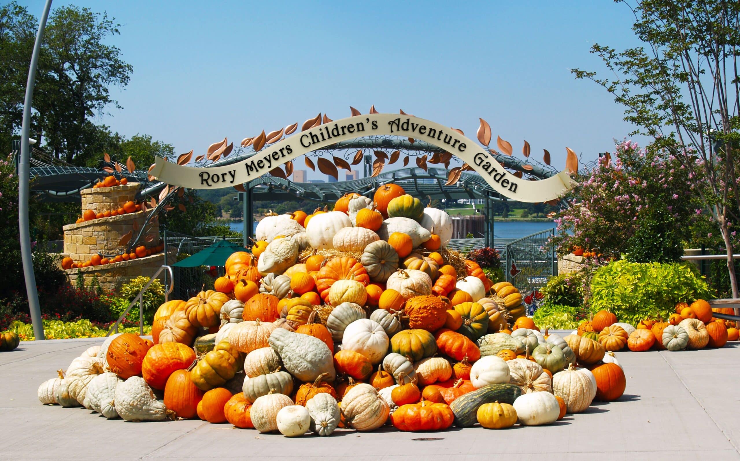 Autumn at the Arboretum: A Fall Fairy Tale