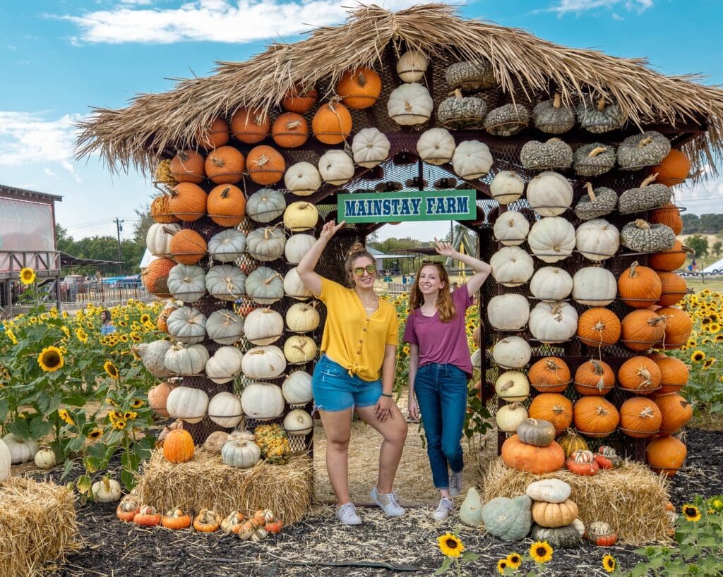 pumpkin arch at Mainstay Farm