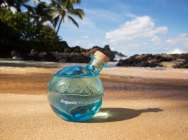 ocean vodka bottle on beach