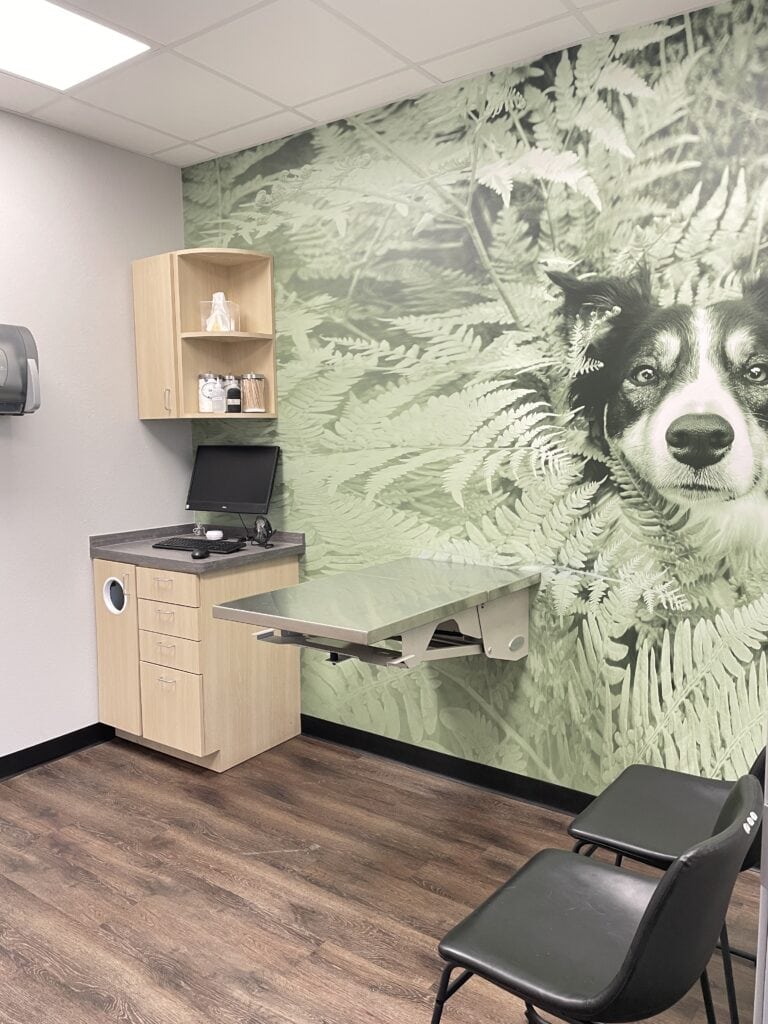 vet exam room cedar hill