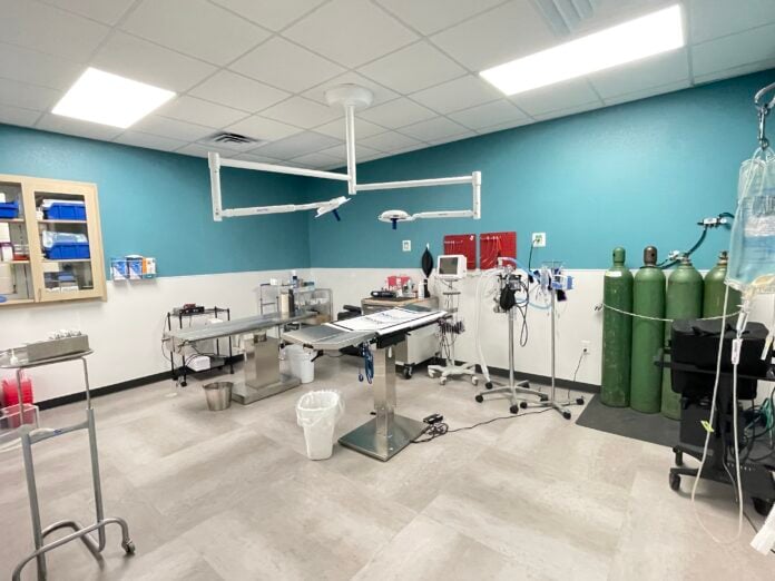 cedar hill vet surgery suite