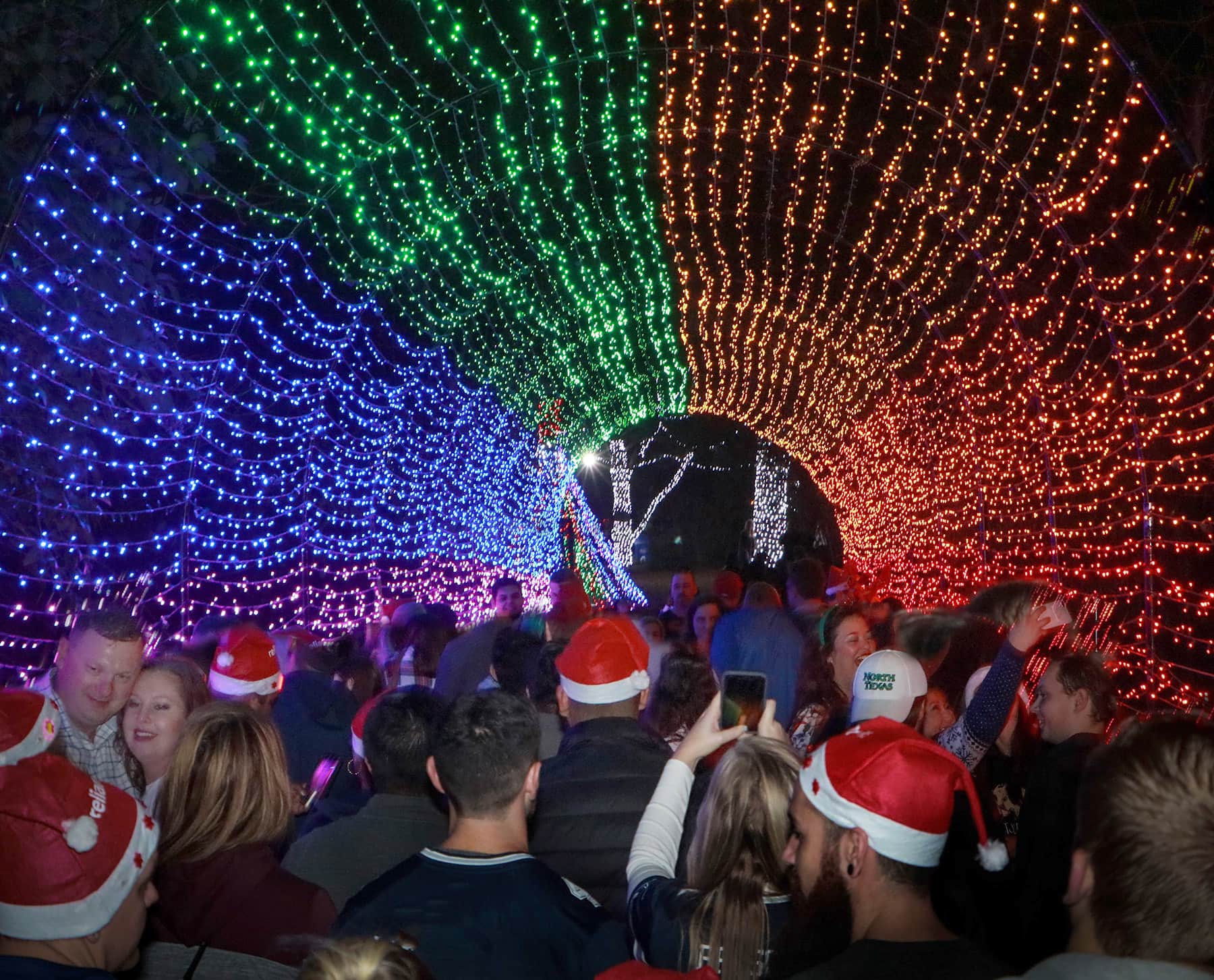 dallas zoo light tour