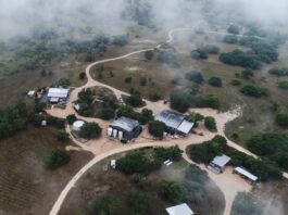 Holiday gifts for Wine & Cocktail lovers