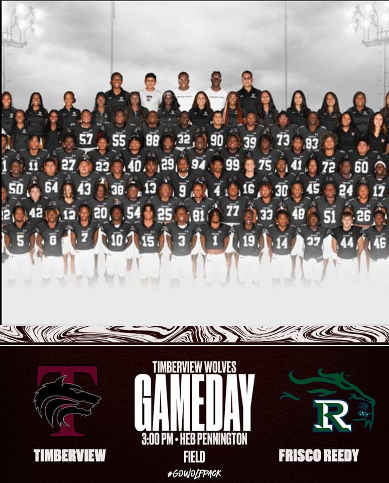 Timberview poster