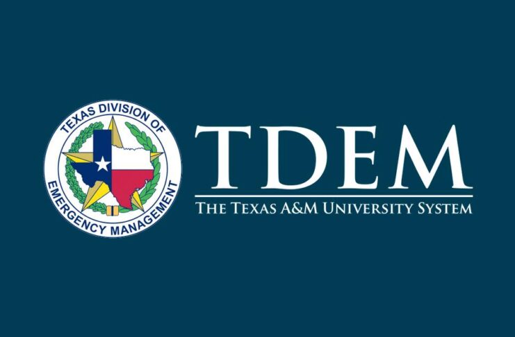 tdem logo