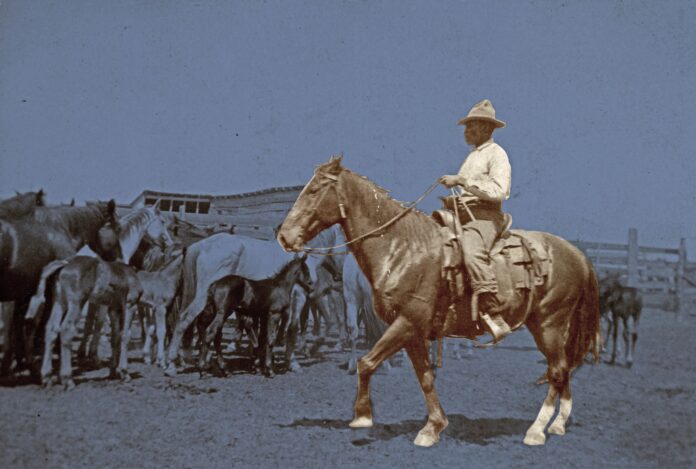 Black Cowboys exhibit Hector Bazy Black Cowboys