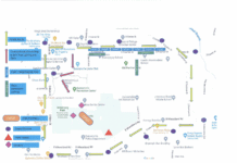 Duncanville Community to Celebrate Monumental Victory with Parade