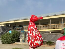 Washed Ashore exhibit at Galveston