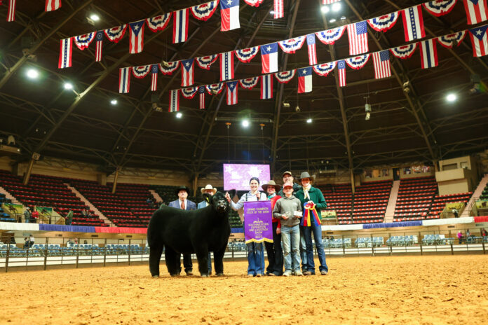 people standing by a steer