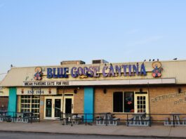 Blue Goose cantina