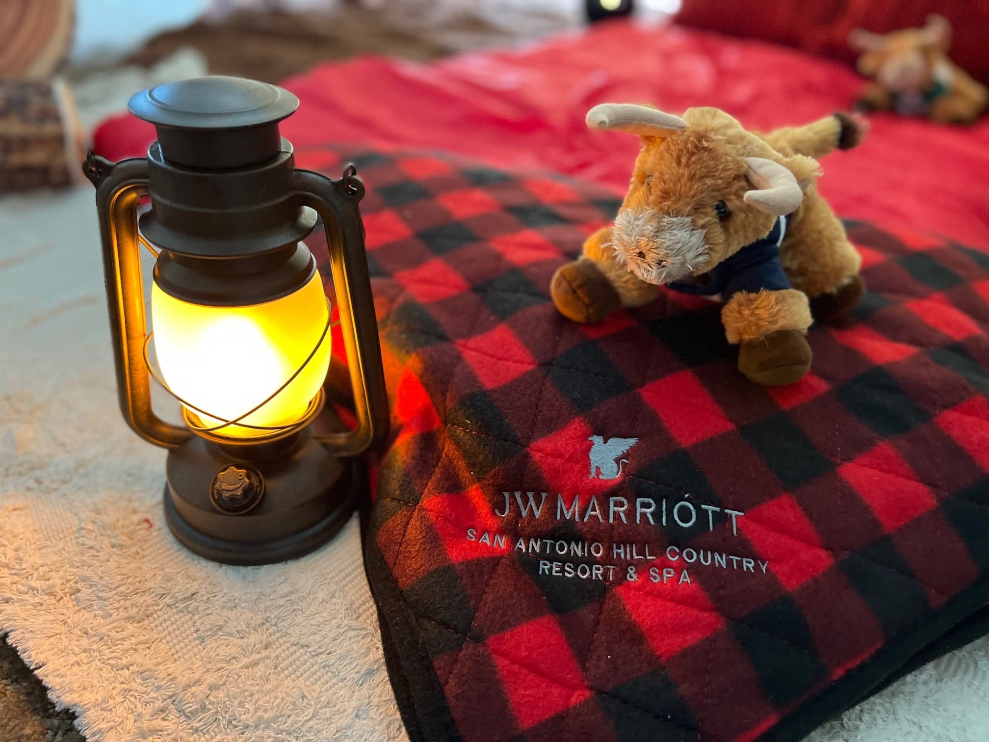 black and red checked sleeping bag with longhorn stuffed animal