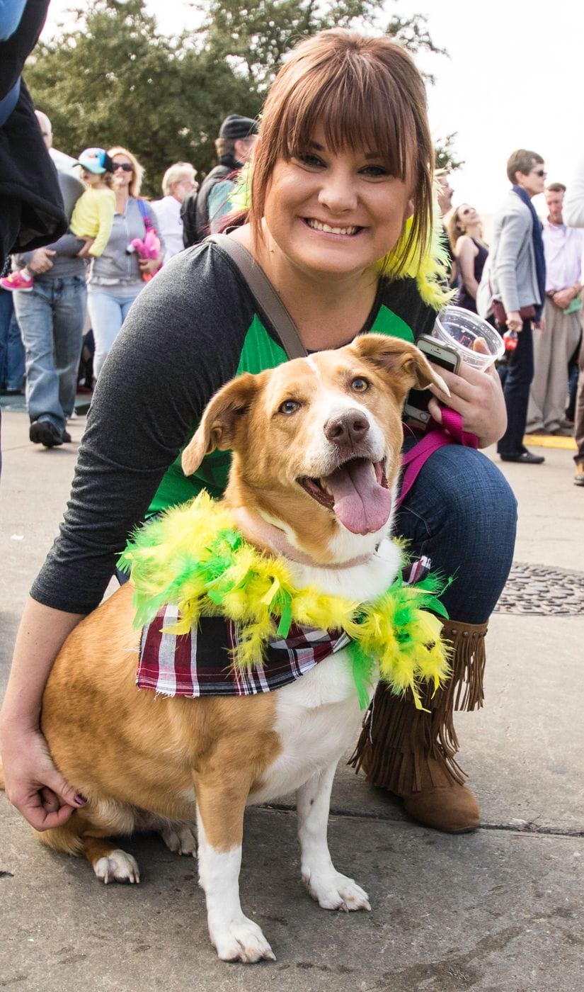 Irish Fest pet friendly