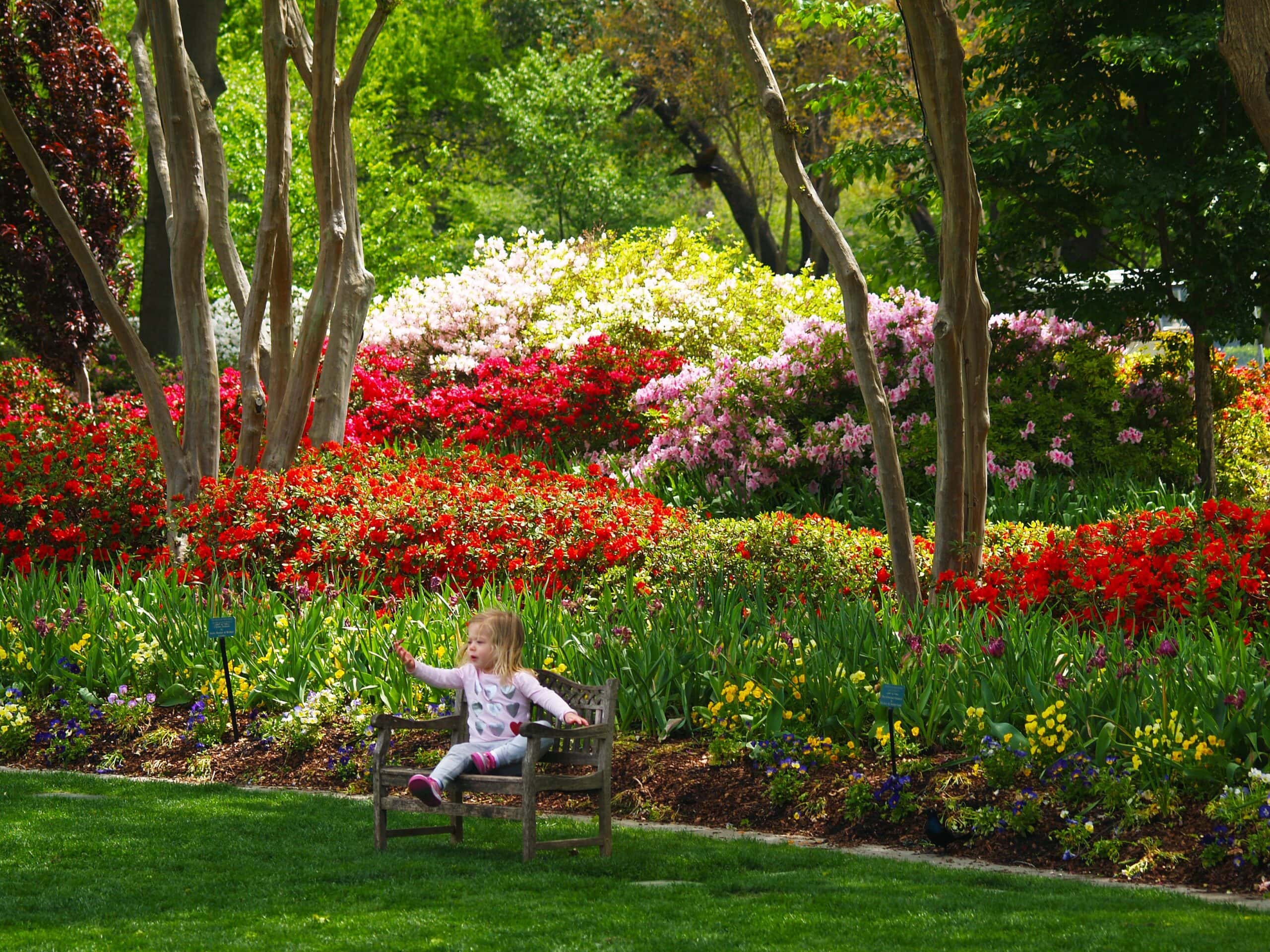 Are Dogs Allowed At The Dallas Arboretum