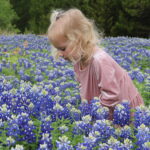 Ennis Bluebonnet Trails Festival Set for April 14-16, 2023 girl in bluebonnet field