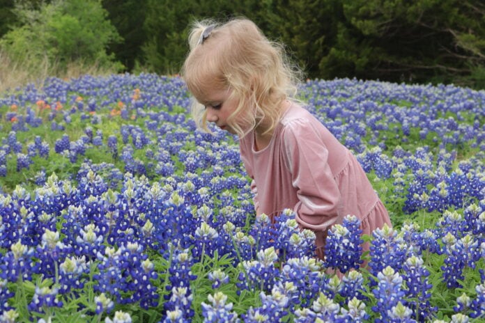 girl in bluebonnet field