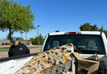 DeSoto Volunteers Collected Over 700 Pounds Of Trash On Saturday trash in bed of truck