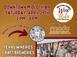 wine and arts festival poster