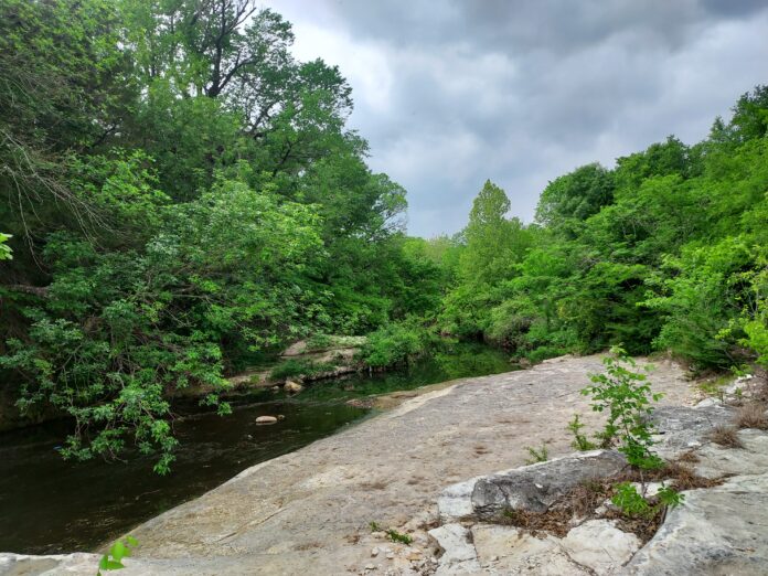 Ladd Natural area 10 Mile Creek