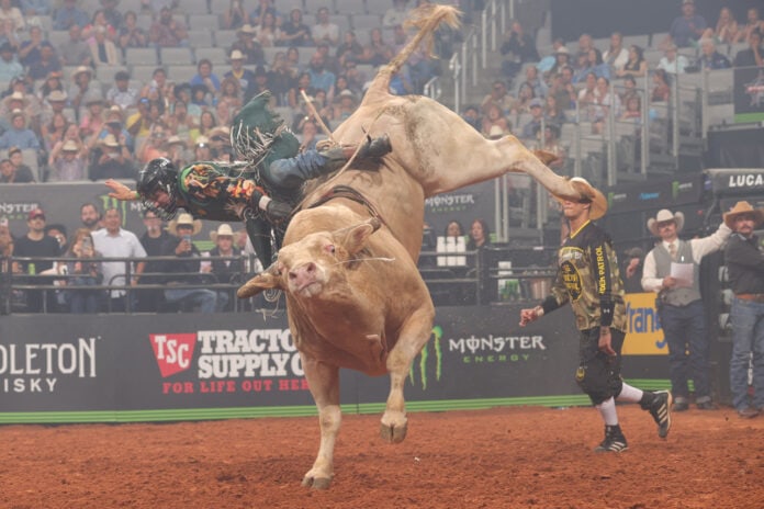 rider bucked off by bull