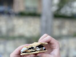 s'more