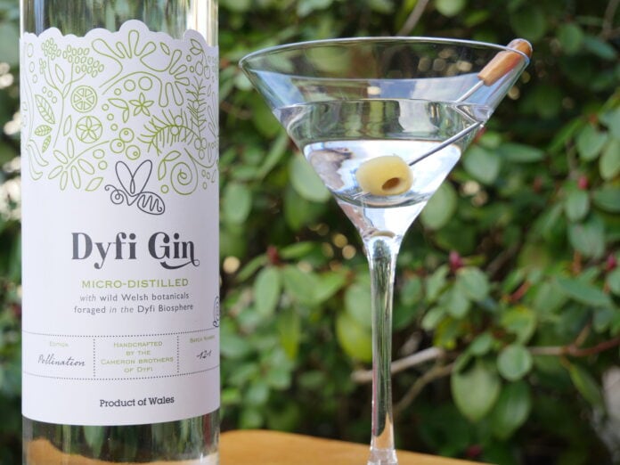Dyfi gin bottle with martini glass