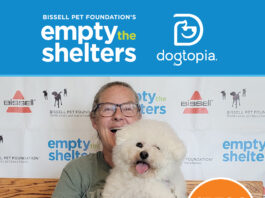 dogtopia poster