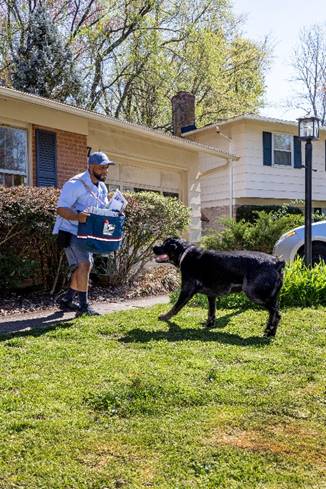 dog charging mailman