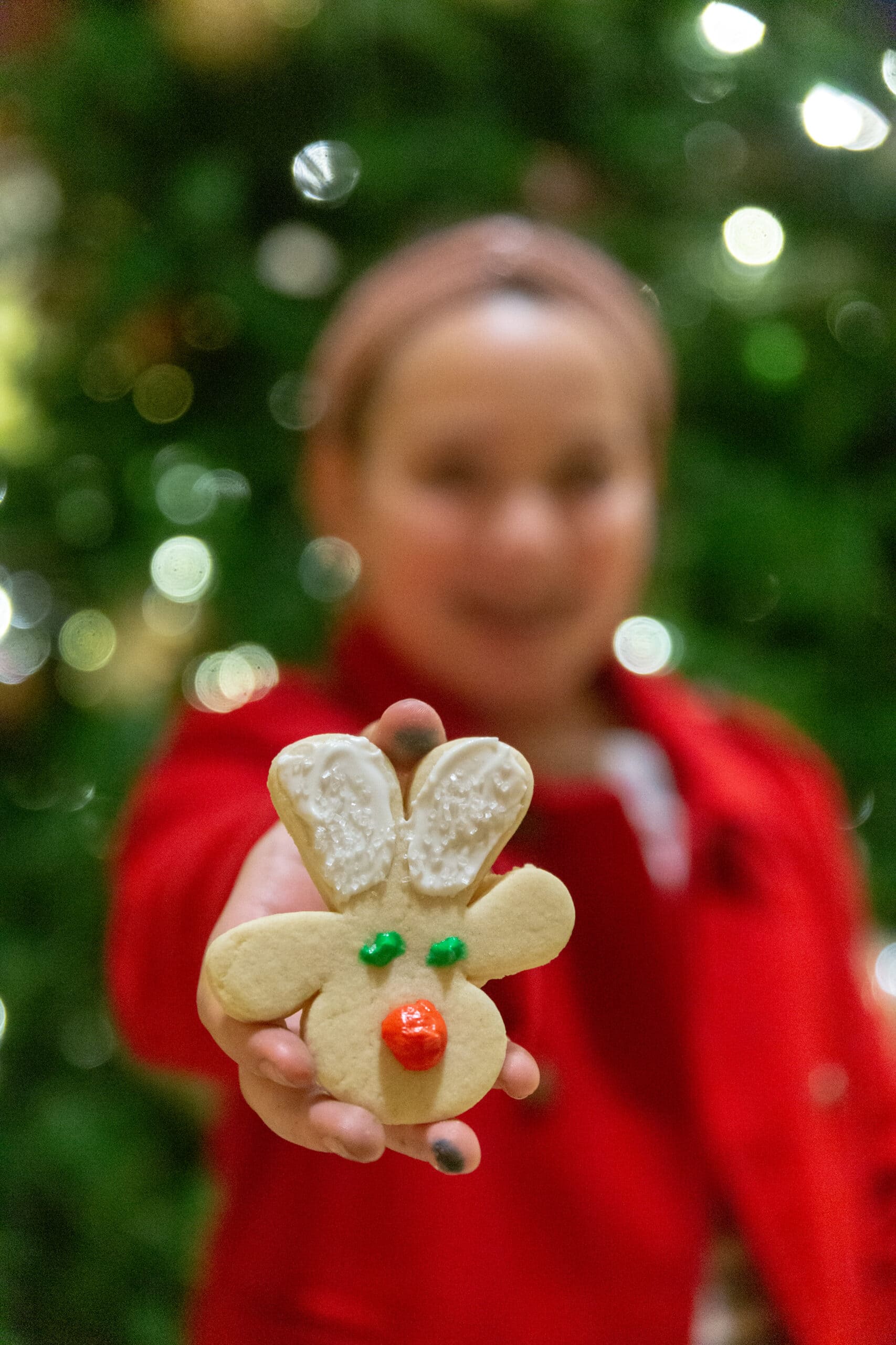 reindeer Christmas cookie