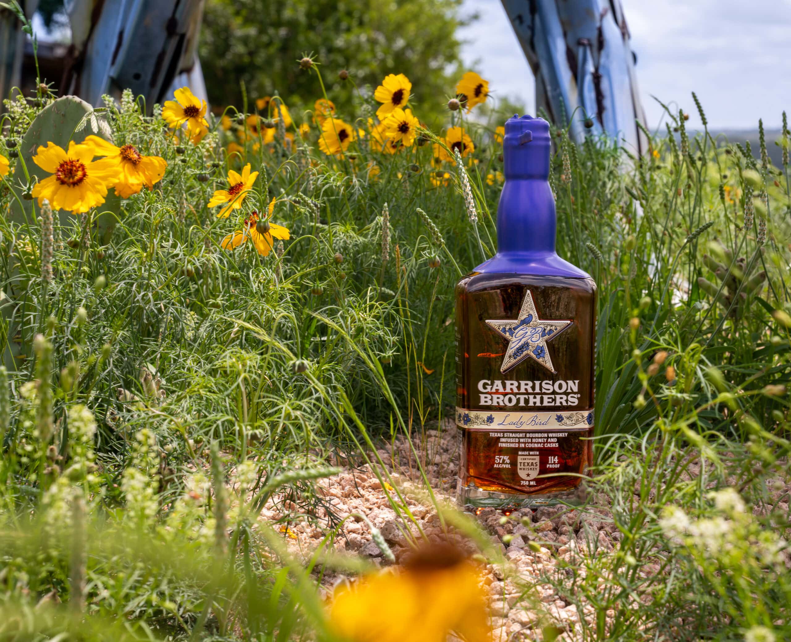 Lady Bird bourbon with wildflowers