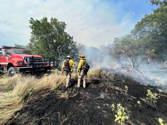 firefighters in field