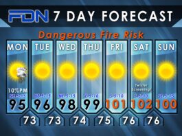 FDN 8.28 forecast