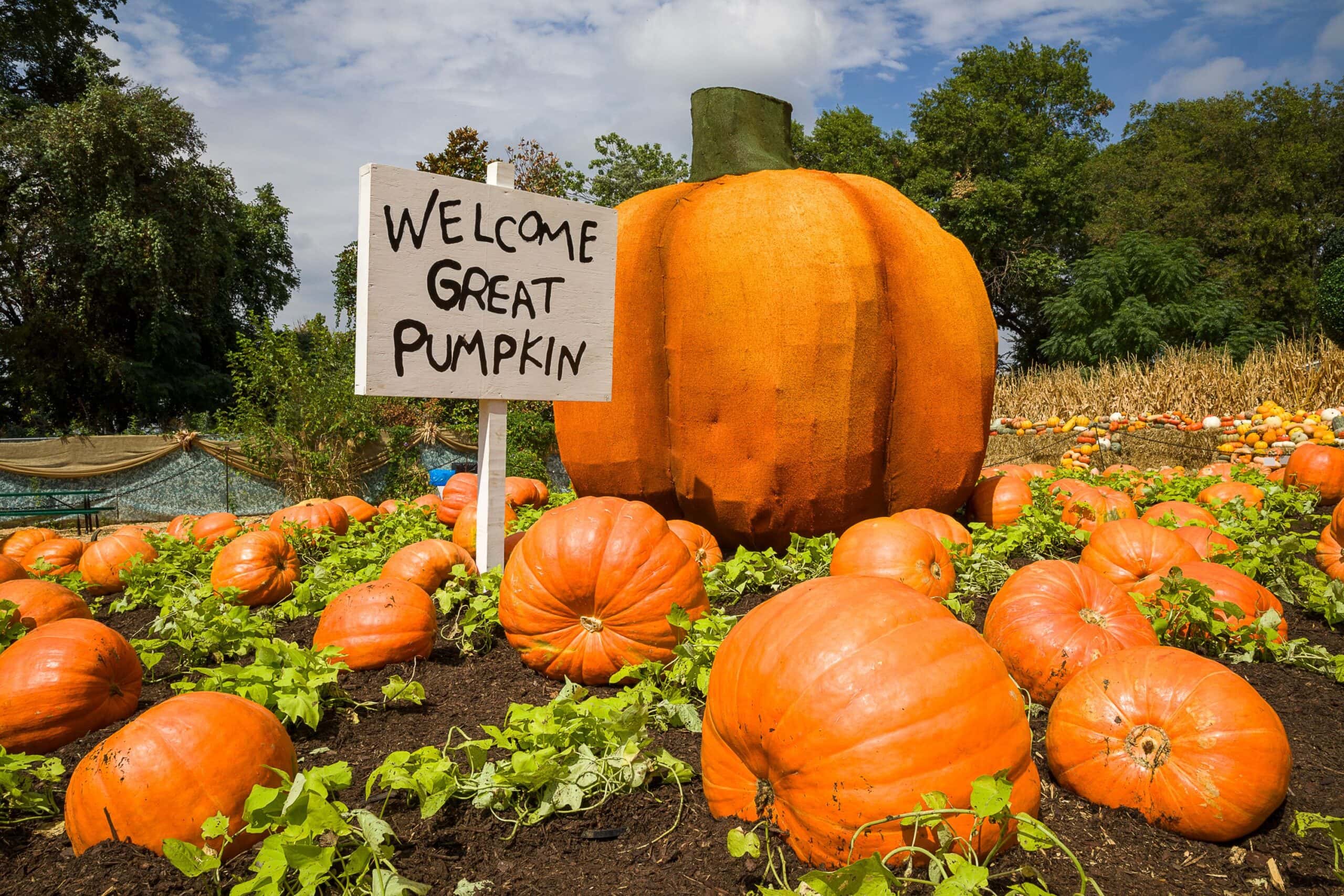 Peanuts characters and pumpkins at Arboretum