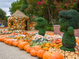 Autumn at Arboretum Peanuts characters