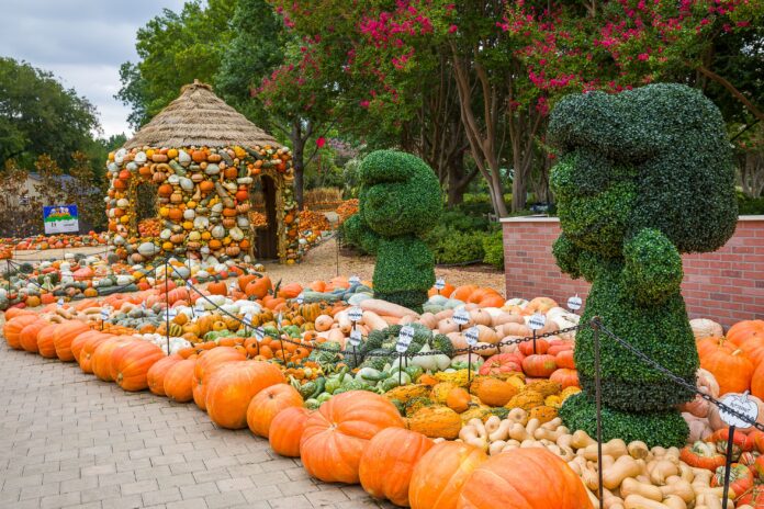 Autumn at Arboretum Peanuts characters