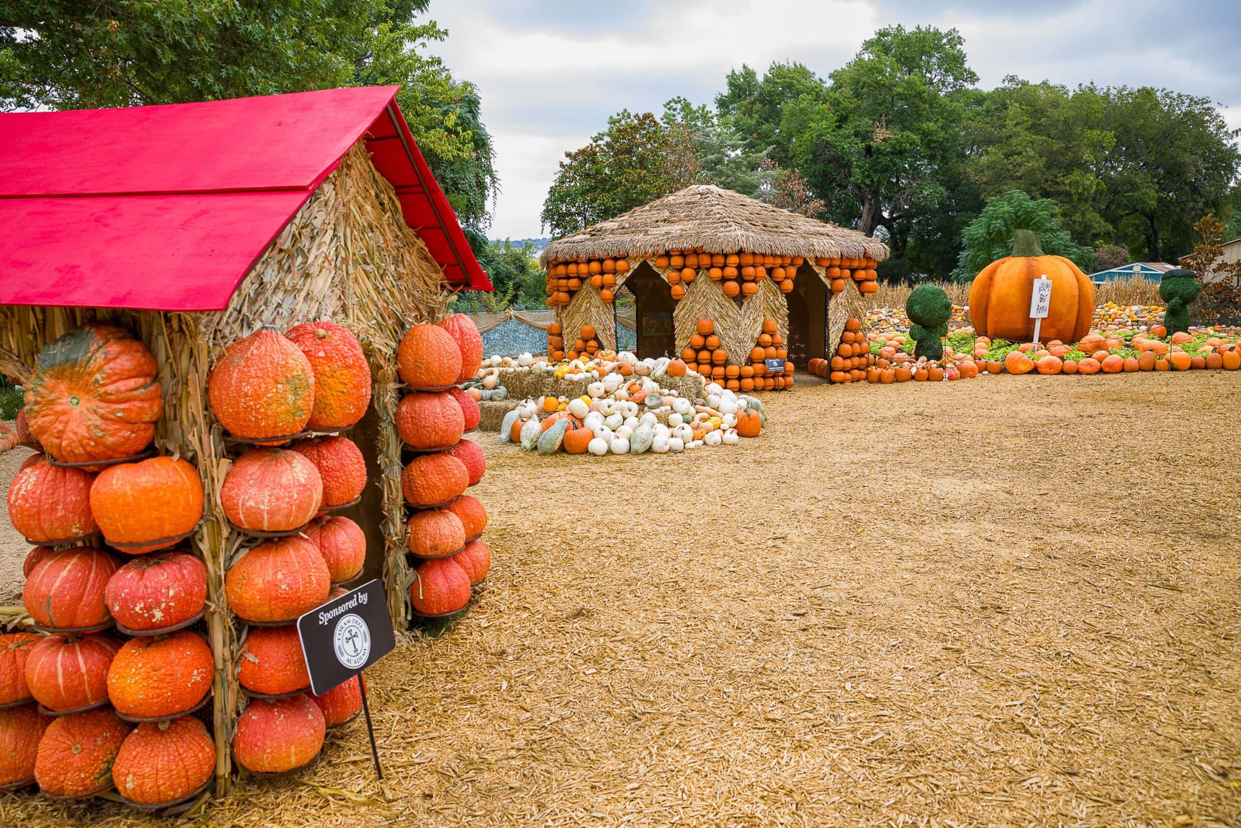 Pumpkin Village