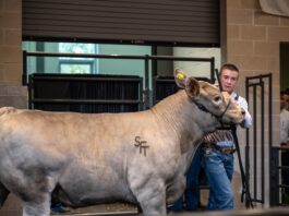 Big Tex Youth Auction winner